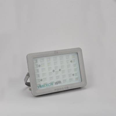LEDͶ 100WLED ֿ
