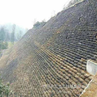 景观边坡绿化防护-边坡固土治理 生态袋-草籽生态袋