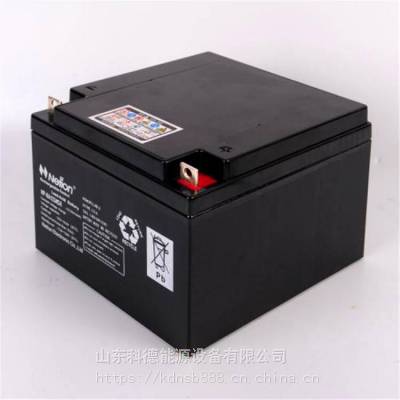ѶNETIONNP-XA1224CH 12V24AH ʱ