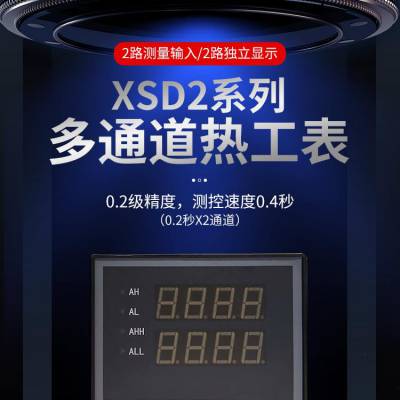 XSD2系列多通道热工仪表 2通道输入 温湿度 压力 报警通讯