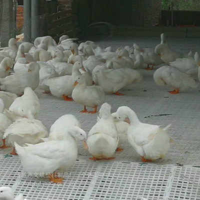 Ѽ© © Ѽ© Ѽ©峧 ƽ ֳѼ©