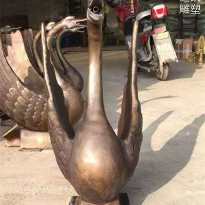 ռܾƷ-԰㳡-ִ