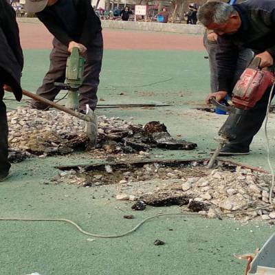 两冲程内燃汽油镐 大功率手持式混凝土冲击破碎锤 带土球挖树机