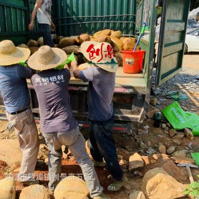 黄蜡石形成过程简介-台面景观石驳岸效果-湛江假山石原产地