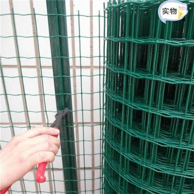 养鸡防护网 圈果园围网 绿色养殖网