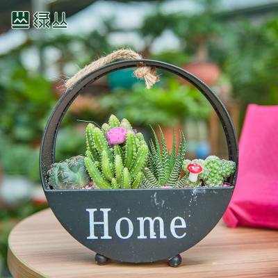 人ڶ homeײ