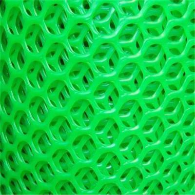 绿色养殖塑料平网 白色水产育雏网 防盗窗塑胶网垫