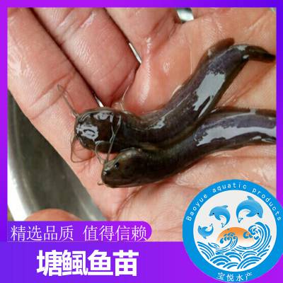  磬繩Ӧ Ǯ