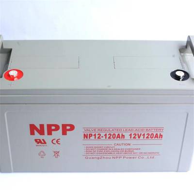 ӥ̶NPPѭNPD2-800Ah۷