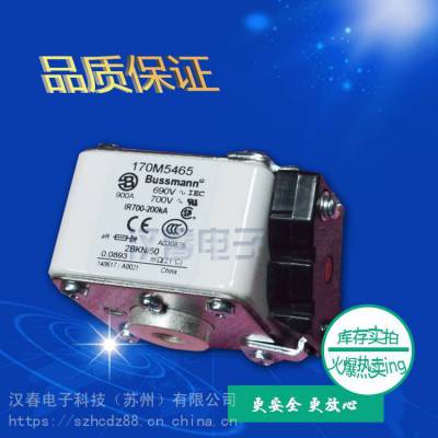 BUSSMANN巴斯曼熔断器170M5017标准封装 批次新