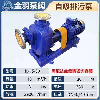 300ZW800-20B防爆型自吸式无堵塞排污泵 不阻塞卧式防爆自吸泵