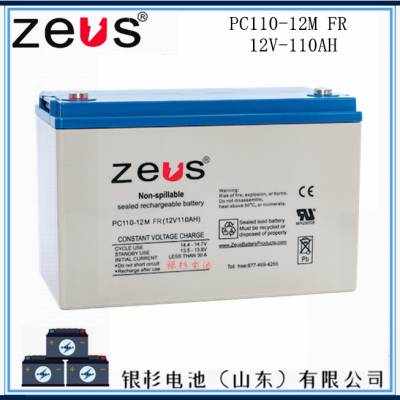 英国ZEUS蓄电池PC110-12M FR电信通讯直流屏UPS电源用12V110AH电池