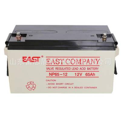 ص NP65-12 EAST 12V6***H upsԴ ֱ
