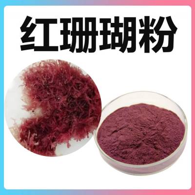 红珊瑚粉 斯诺特生物 固体饮料食品原料 可寄样测试