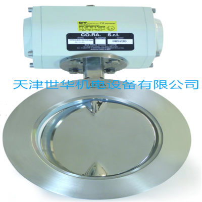 意大利CO.RA.蝶阀250 WW WR 250/80 CO.RA双阀垫片，CO.RA计量系统