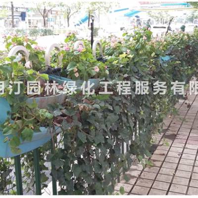 ·PP賧ֱ/