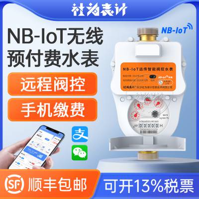 nb-iot物联网智能水表_家用自来水水表_水表厂家地址_DN15