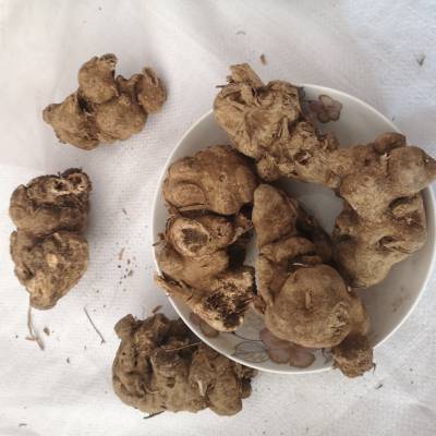 贵州土生地 土生地功效价格