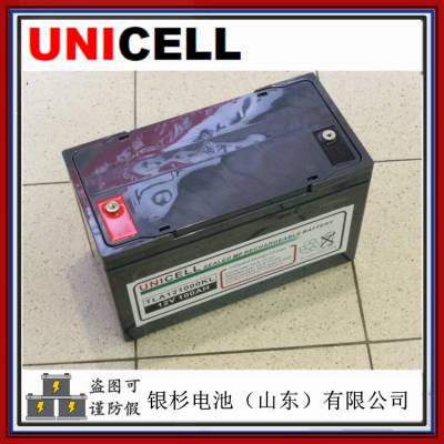 UNICELLTLA121000KLUPSӦԴϵͳ12V-100Ah