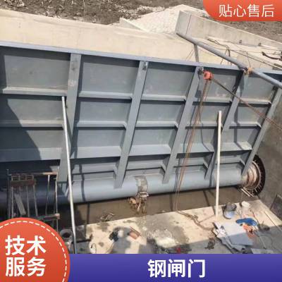 平面滑动钢闸门厂家 丰利城市用 坚固耐用 双向水止 DN100MM