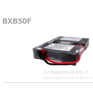 供应日本OMRON欧姆龙UPS电源BY50FW用电池组BXB50