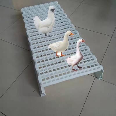 养鹅专用漏粪板 鸡舍垫板鸭粪板小鹅网床