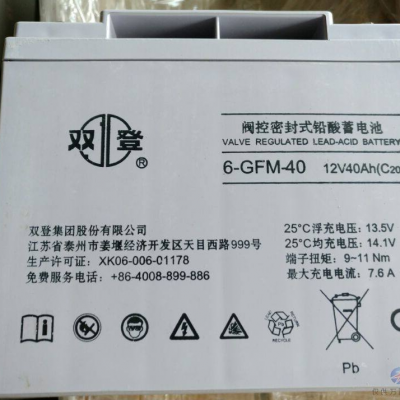 ˫ GFM-800 2V800AH ˫Ǧػ ֻⷿ