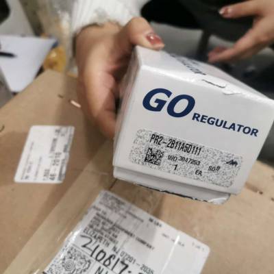 供应 GO Regulator Inc 压力调节器 PR2-2B11A5D111