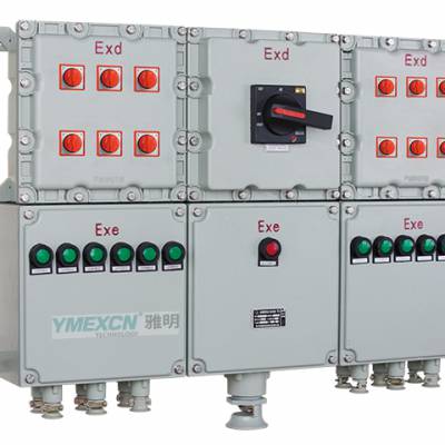 BXM防爆照明动力配电箱 A型集中电源控制照明配电箱