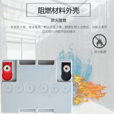 BIOOD汗血马蓄电池NP65-12 12V6***H工业储能备用电池