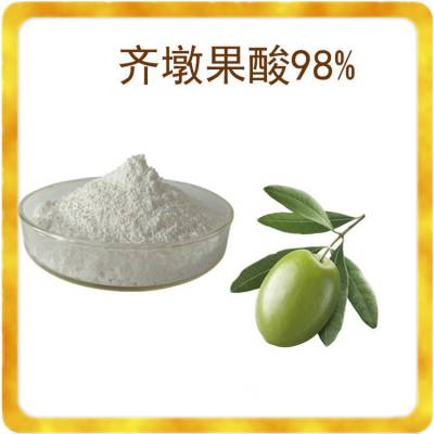 齐墩果酸 20:1规格可定制生产 喷雾干燥工艺 斯诺特生物