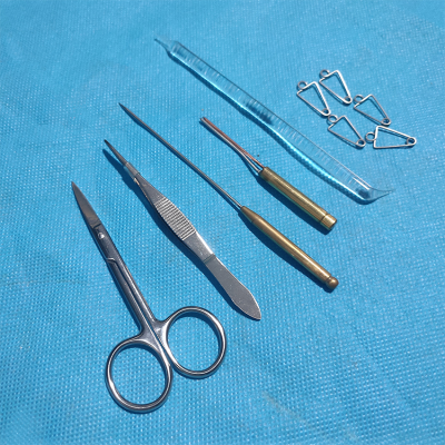 蛙类解剖实验耗材玻璃分针锌铜弓蛙解剖板解剖针蛙心夹