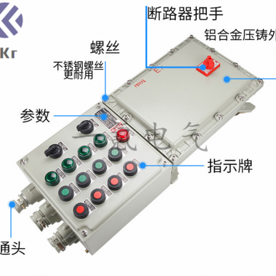 EX粉尘隔爆检修箱BXX51华荣同款防爆照明动力配电箱IP65加油站制药厂