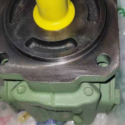 瑞克梅尔油泵R25/8 FL-Z-DB-SO冷却器油泵润滑齿轮泵