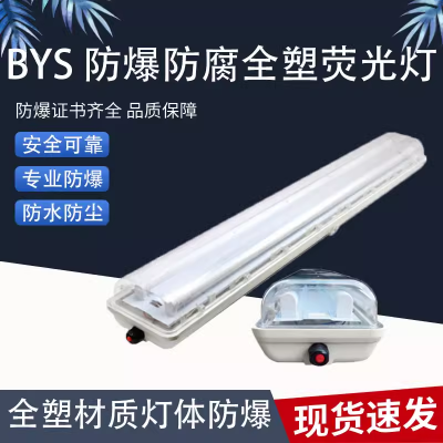 新黎明BYS防爆防腐全塑荧光灯2*40W18W化工厂车间防尘防潮吸顶灯