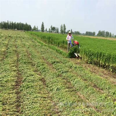 绵阳80年代小麦收割机 整齐一边倒牧草收割机展华机械