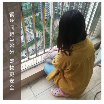 东莞公寓防护网东莞公寓安全网东莞宝贝防护网东莞宝贝安全网美观不挡视线304钢质防护理想产品