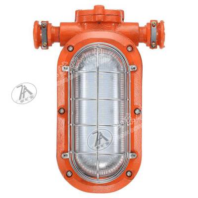 本矿用隔爆型LED支架灯 DGC18/127L防爆支架灯