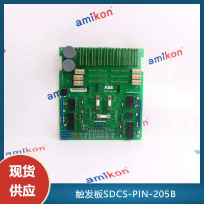 豸\\SDCS-PIN-205B