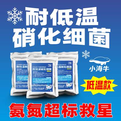 冬天污水处理氨氮超标了就用耐低温硝化细菌生化系统好氧池降氨氮专用