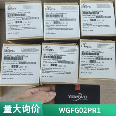 Entegris Ӣظ Ӧظ  WGFG01DS0 WG3NS8RR2 WG3NS6RR2