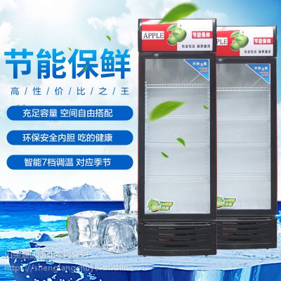 ˫ŵơƹչʾʽЧ豸