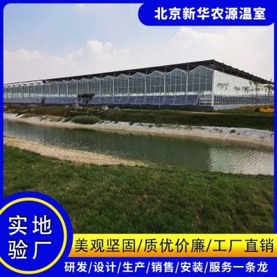 徐州文洛温室设计 智能蔬菜大棚 玻璃温室造价 新华农源厂家直销