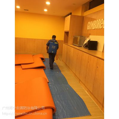 广州灭四害|专业杀虫公司 联系方式是多少