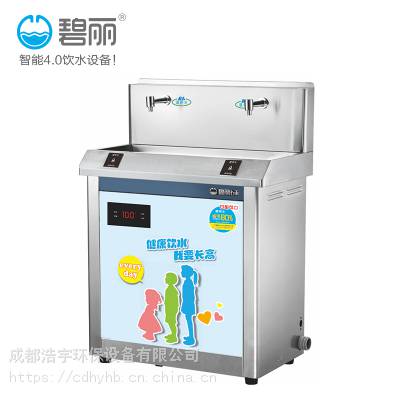 ***幼儿园使用的直饮水机碧丽幼儿园机