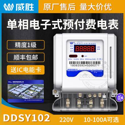 小区物业用预付费电表 5(60)A 长沙威胜DDSY102单相插卡电表 220V