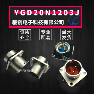 괴ԲYGD20N1203JͷӲǰѯ