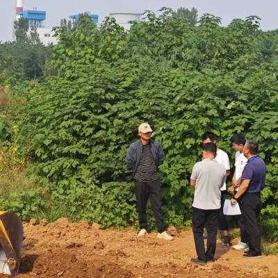 山东骏大职业培训学校装载机和挖掘机考证的具体流程