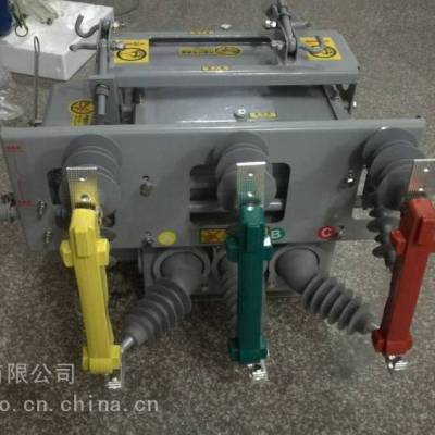 zw20真空断路器厂家 ZW20AF-12/630-20柱上智能分界开关