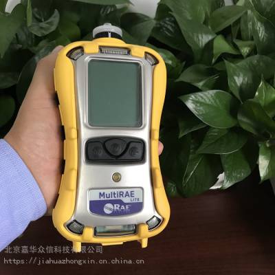 MultiRAE LiteһжкPGM-6208